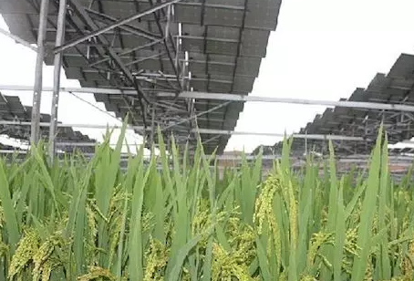 夏季能提高光伏電站發(fā)電量不假，但也會降低發(fā)電量！用戶該怎么辦？