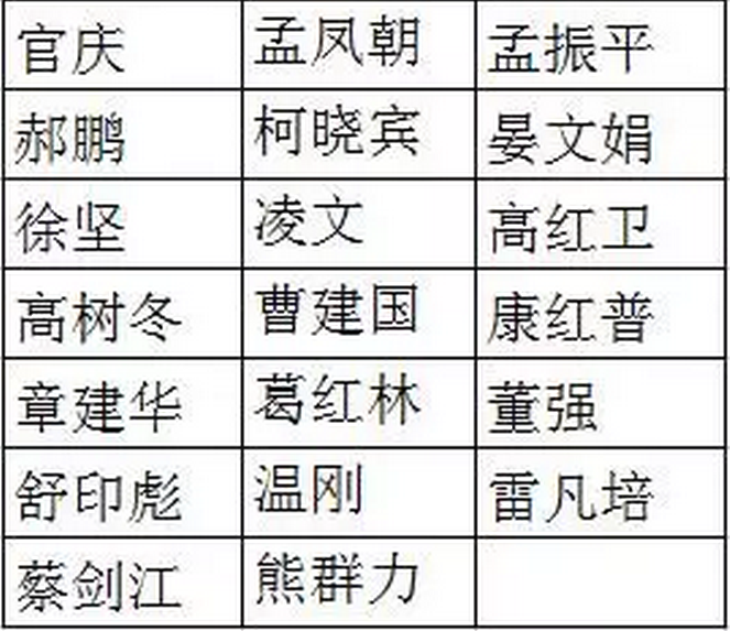 國網(wǎng)、國電投、大唐、神華、三峽等8家能源企業(yè)，總計29家央企大佬入選十九大代表