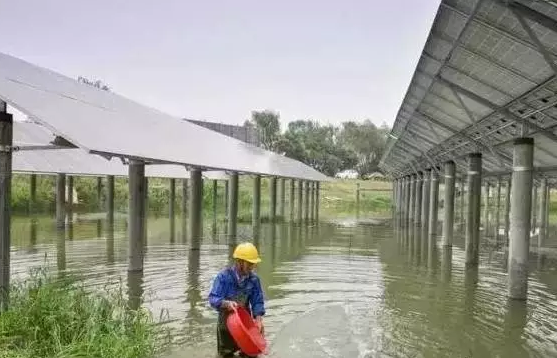 光伏農(nóng)業(yè)——最新經(jīng)濟熱點，遍地機遇你抓住了嗎？