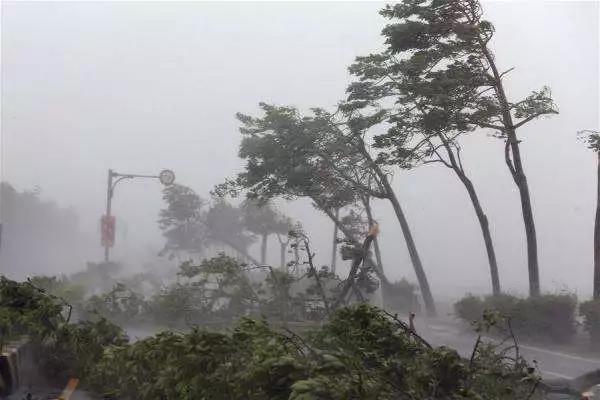 山竹肆掠： 臺(tái)風(fēng)天，光伏電站如何將損失降至最低